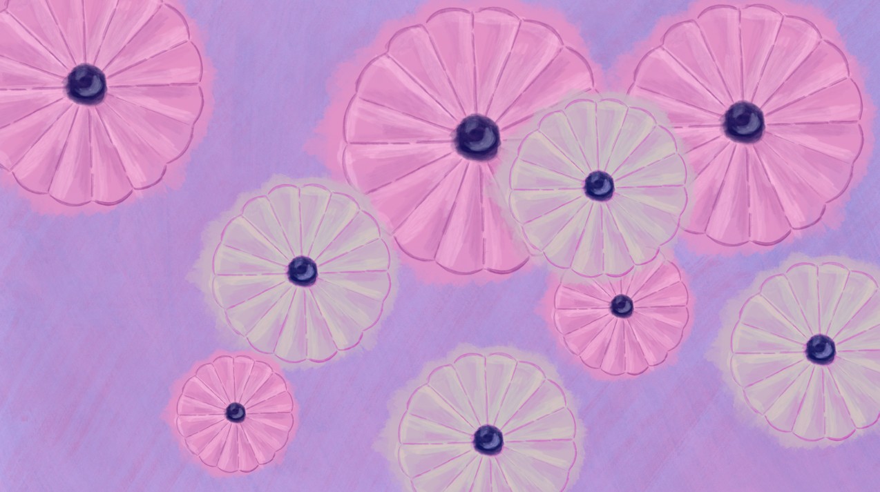 Fallen flowers in a cozy day